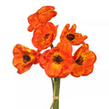 Silk Artificial Poppy Flowers