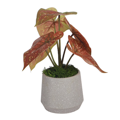 Potted Artificial Evergreen Small Plant