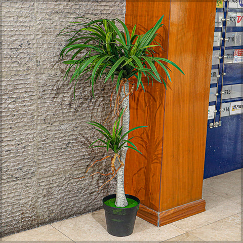 faux dracaena draco plant