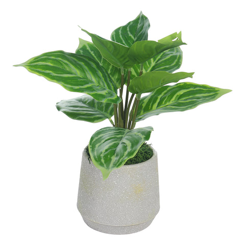 Small potted artificial evergreen plants for home décor