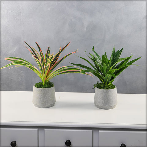 potted artificial plants