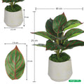 Faux evergreen small plants for pots in Dubai