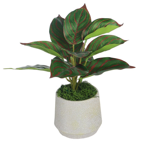 Potted artificial evergreen small plants for home décor