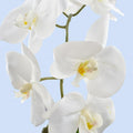 Artificial orchid flowers