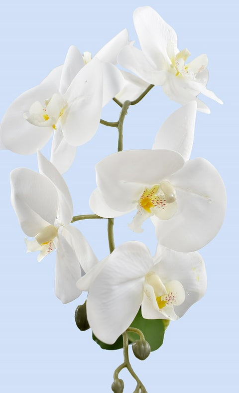 Artificial orchid flowers