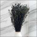 dried flax flowers