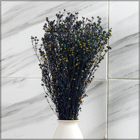 dried flax flowers