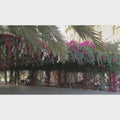 Hanging flower decoration