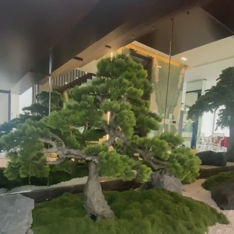 bonsai tree with moss wall decoration