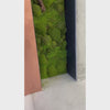Artificial green wall
