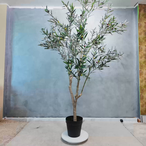 240cm Olive Tree Decor