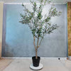 240cm Olive Tree Decor
