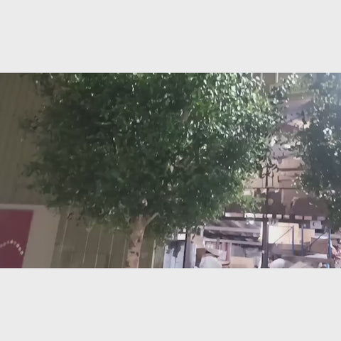 artificial olive tree pair