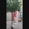 6pcs artificial tree making