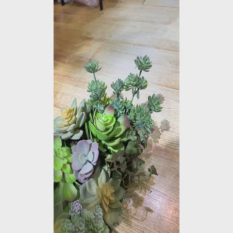 faux succulent plant display
