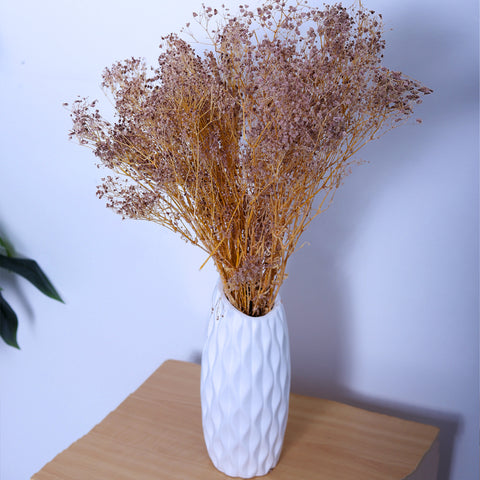 White Dried Gypsophila Stems
