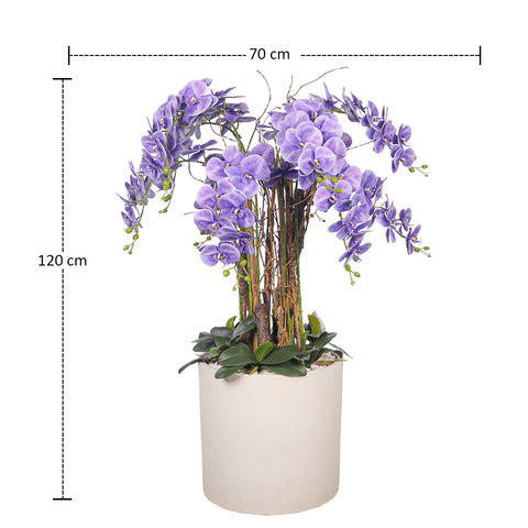 Decorative purple orchids in pot