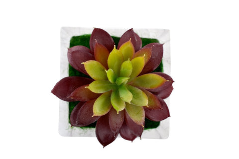 Faux Succulent Plant 