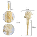 Fluffy Bunny Tail Stems
