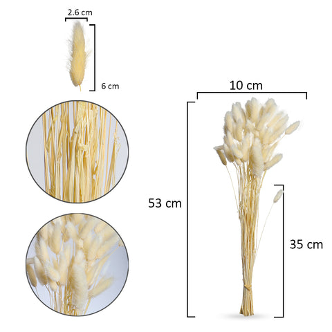 Fluffy Bunny Tail Stems