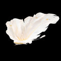 Decorative clip butterfly