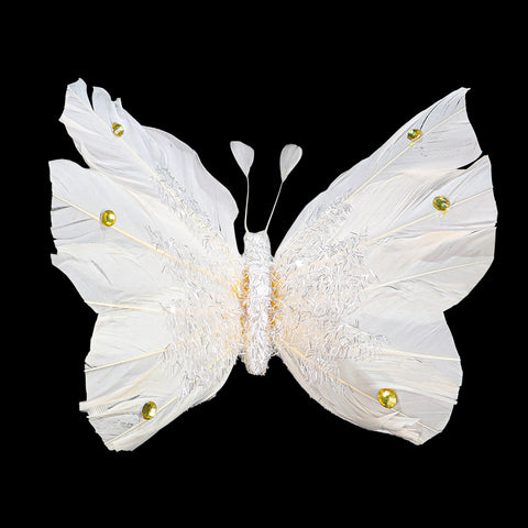 Butterfly clip-on
