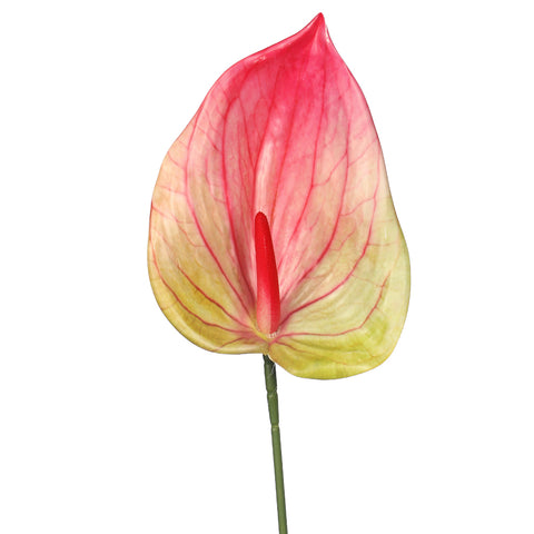 fake anthurium plant