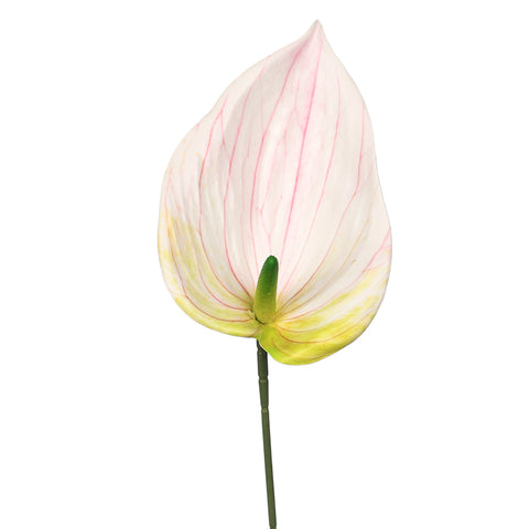 real touch artificial anthurium flower
