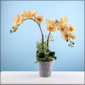 Yellow orchid arrangement