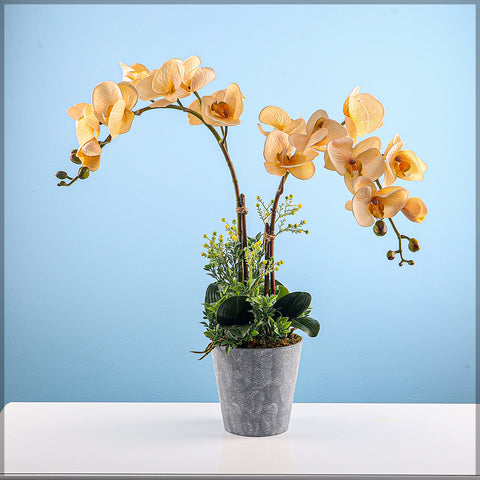 Yellow orchid arrangement