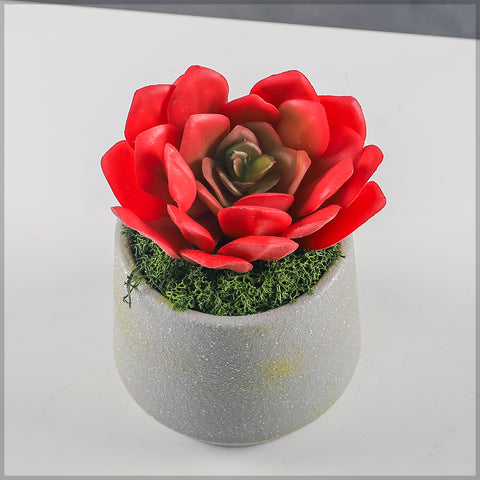 Faux succulents for decor