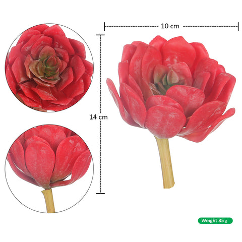 Echeveria peacockii artificial plant