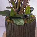 Natural look orchids
