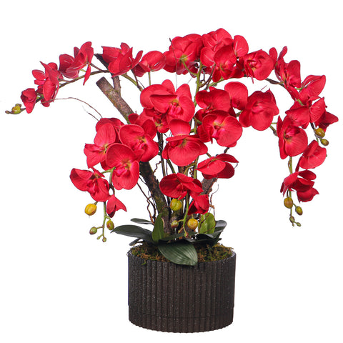 Red orchid arrangement