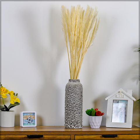 white pampas grass bunch