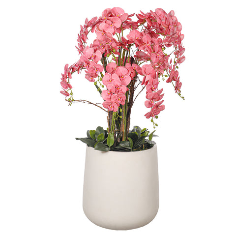 Natural look orchids