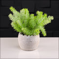 Cement Round Flower Vase