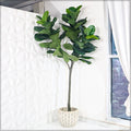 outdoor plant pots dubai