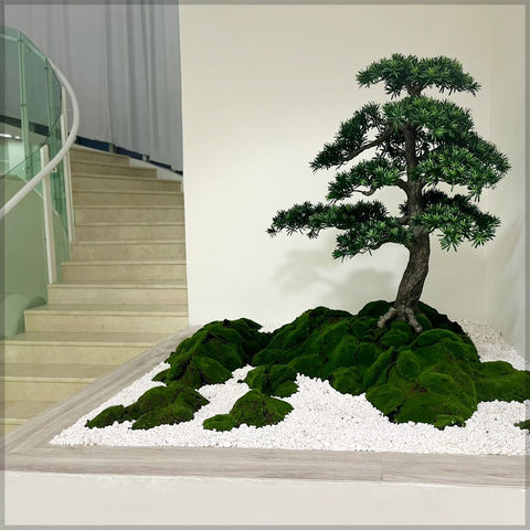 Serene Bonsai Beauty