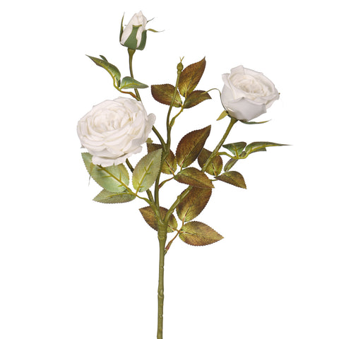 single stem rose