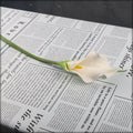 tall calla lily stems for floral arrangements