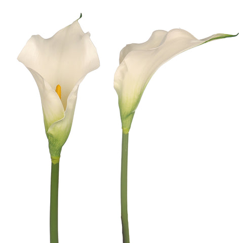 best artificial calla lily
