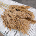 Natural Small Pampas Bouquet