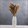 Fluffy Pampas Twigs for Decor