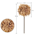 Decorative thorn ball dandelion