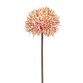 Small thorn ball dandelion flower