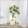 Large square cement planters for outdoor gardens