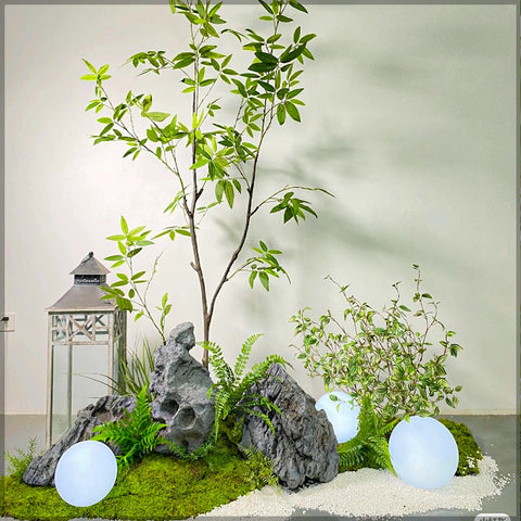 Natural Large Rocks for Garden