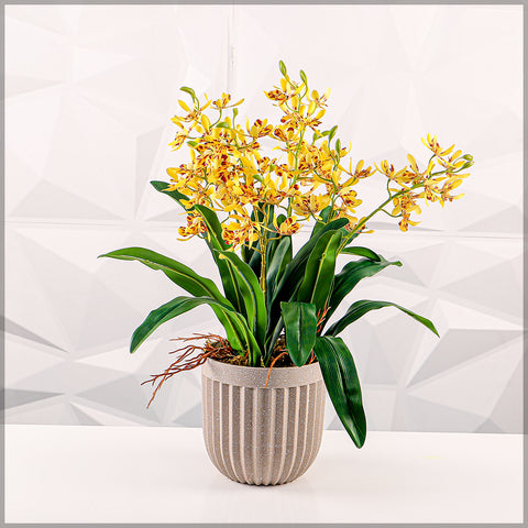 Stripe Design Platic Pot