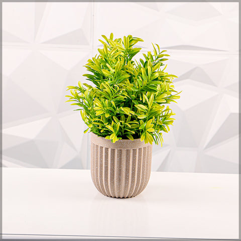 Stripe Design Platic Pot